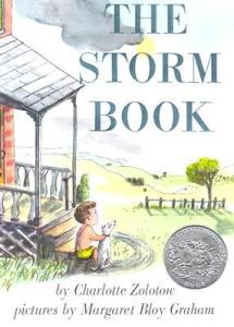 The Storm Book | Don't read this to my kids